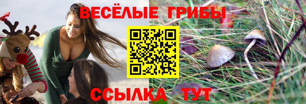Псилоцибиновые грибы прущие грибы Кизилюрт