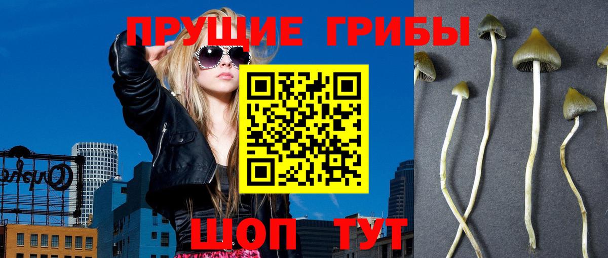 Псилоцибиновые грибы мицелий  Галлюциногенные грибы Cubensis  Кизилюрт  Вход с VPN 